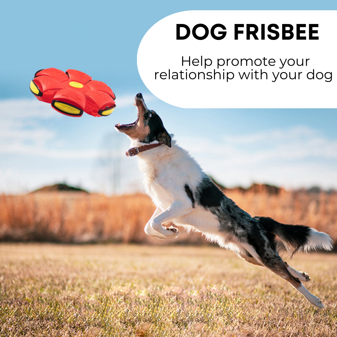 Dog Frisbee - Durable Flying Disc Dog Toy