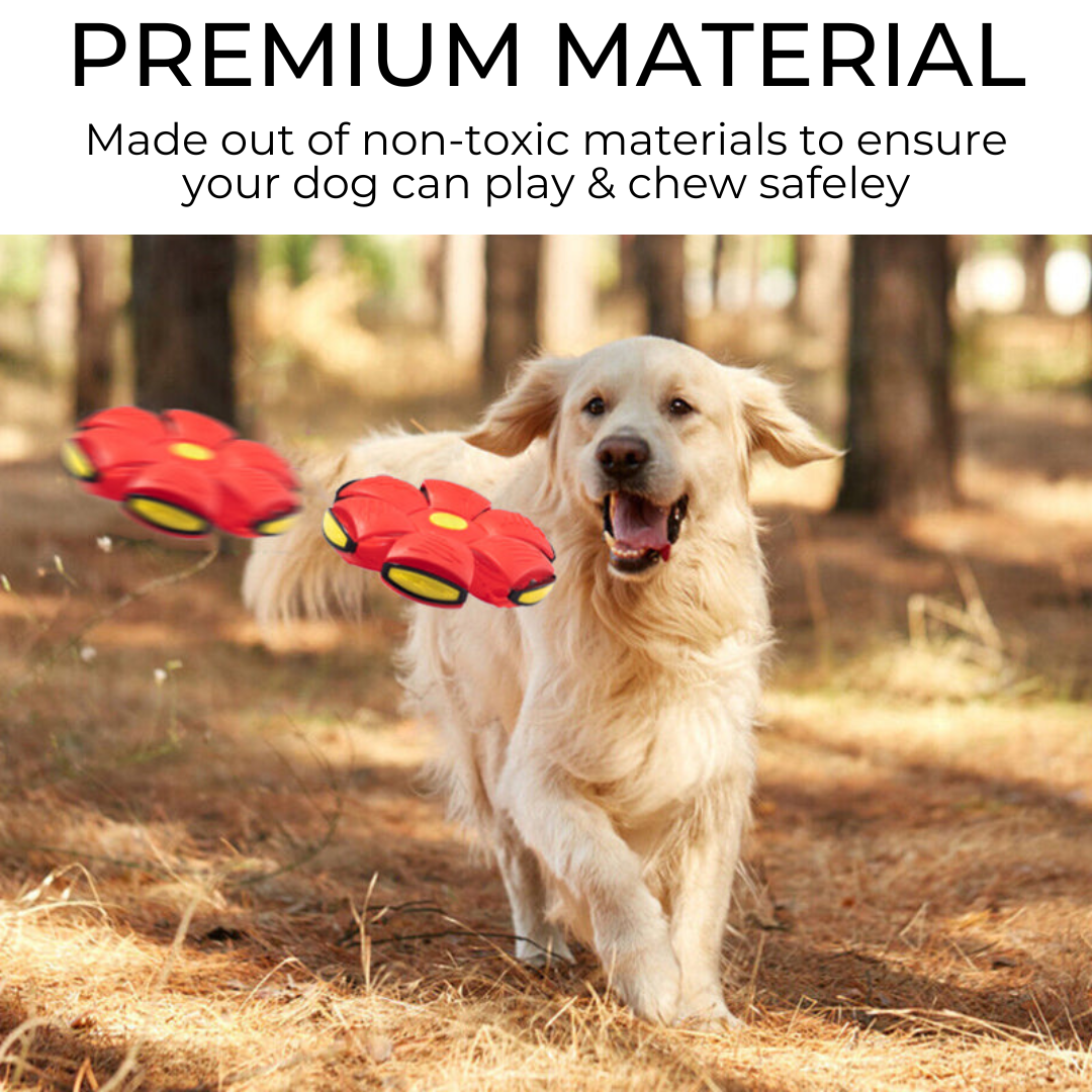 Dog Frisbee - Durable Flying Disc Dog Toy